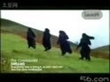 Cranberries1