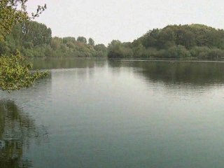 Schwanensee